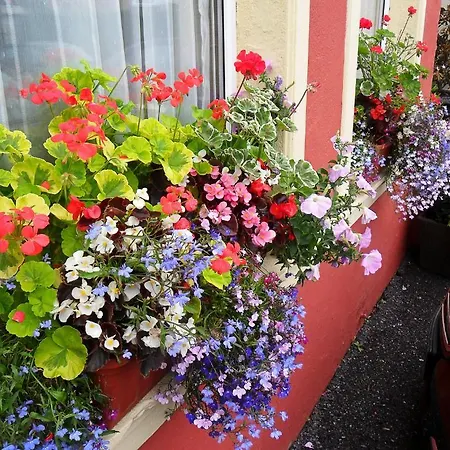 Achill House Cork